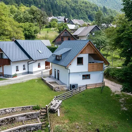 Apartman Orehar *