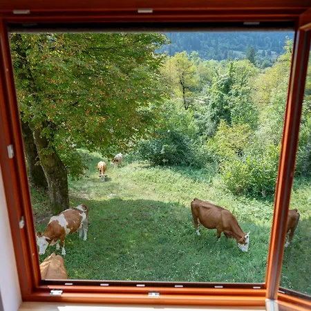 Orehar Апартаменты