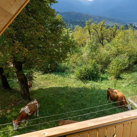 Orehar Apartment Bohinj